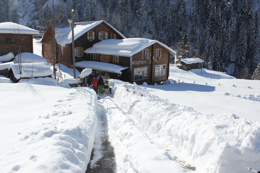 Вилла Kuspuni Dag Evi Camlihemsin Экстерьер фото
